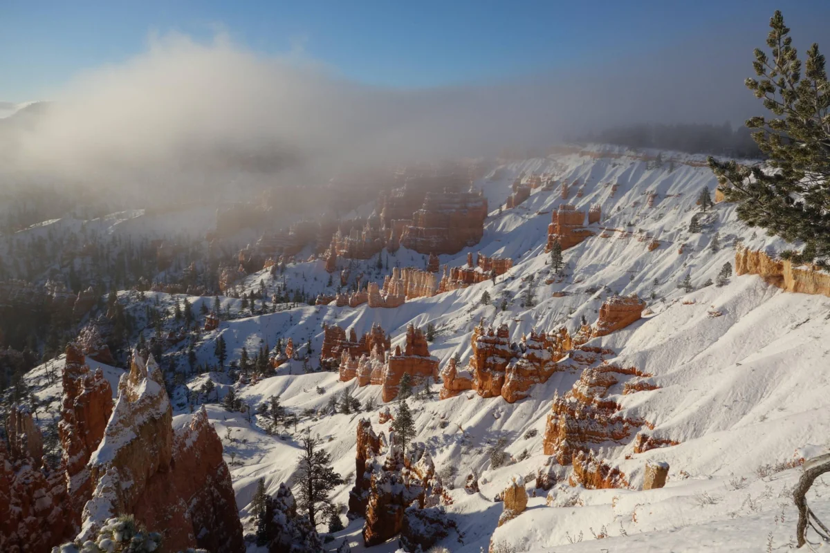 The snow-covered cliffs of Bryce Canyon in the morning mist