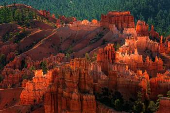 The rays of the setting sun on the cliffs of Bryce Canyon in the United States