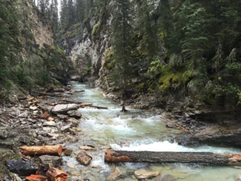 A mountain river in Johnston Canyon, Canada