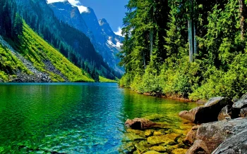 landscapes_045, forest, forests, lakes, bodies of water, landscapes, mountains, peaks, hills, reflections, snow, trees, nature, world