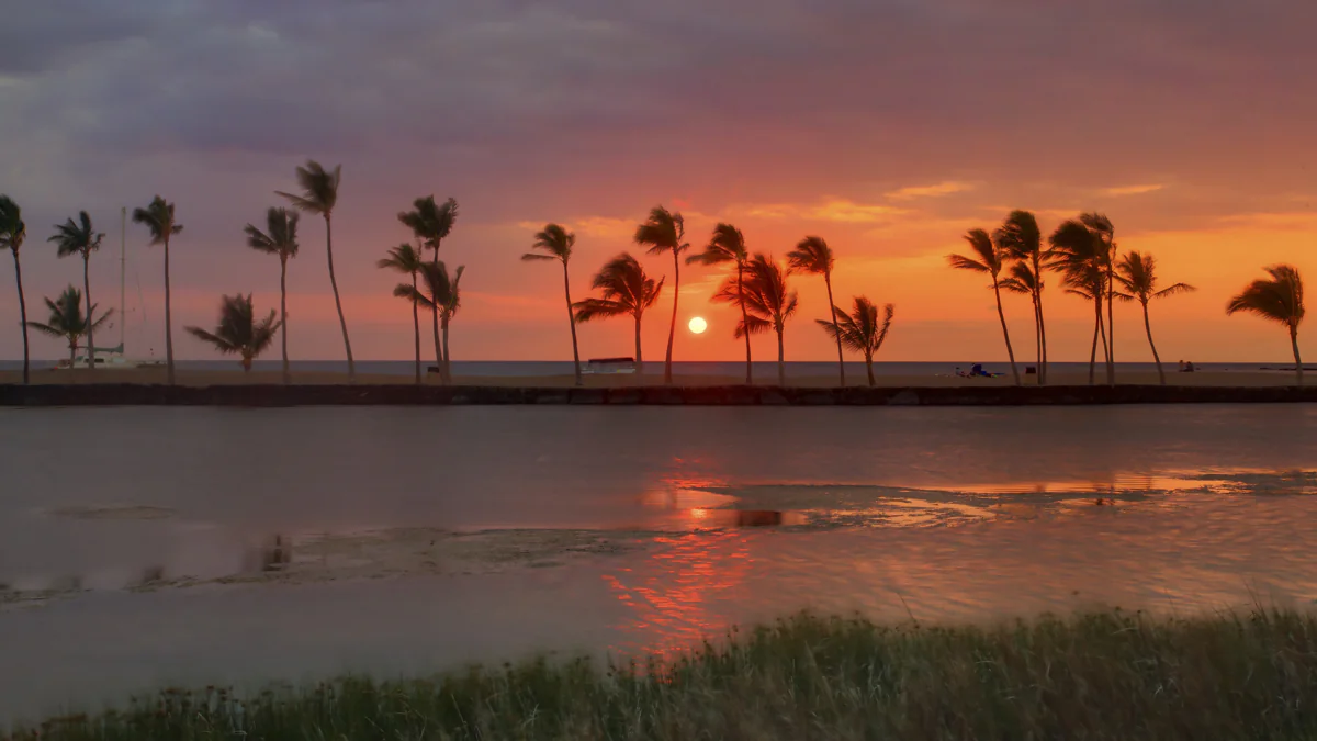 A golden sunset over the ocean coast with the silhouettes of palm trees