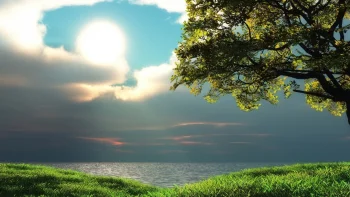 sunlight over the green shore, clouds, herb, herbs, lawns, lakes, bodies of water, landscapes, sky, sun, sun rays, sunlight, rays, trees, nature, world