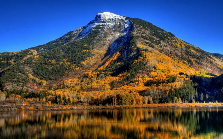 Золота осінь біля підніжжя гори Крестед-Б'ютт у Колорадо