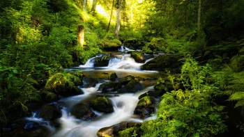 лісовий струмок, що пробивається крізь каміння, водоспади, waterfalls, дерева, ліс, ліси, літо, пейзажі, річки, канали, струмки, природа, світ