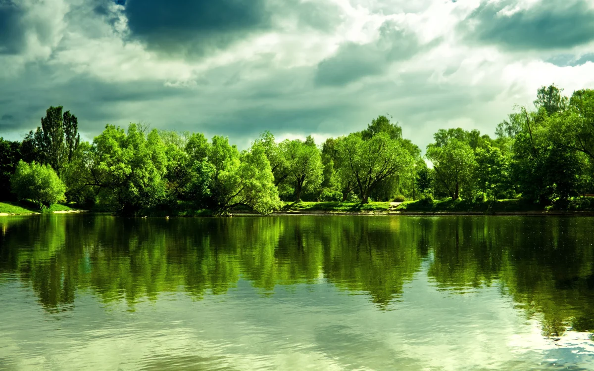 The green banks of the pond under a cloudy sky