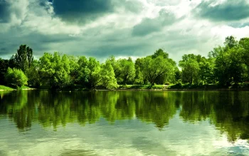 зелені береги ставка під хмарним небом, відображення, дерева, ліс, ліси, озера, водойми, пейзажі, хмари, природа, світ