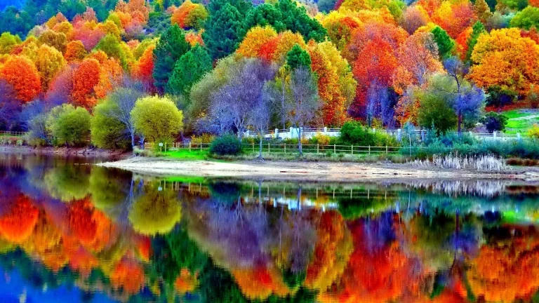 the vibrant colors of the autumn forest by the mirror-like surface of the lake, autumn, autumns, forest, forests, lakes, bodies of water, landscapes, leaves, foliage, leafage, frondage, reflections, trees, nature, world
