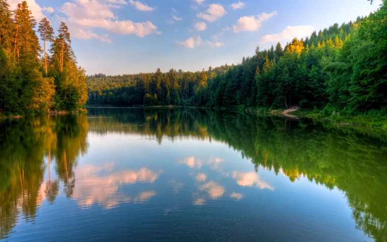 Спокойное лесное озеро