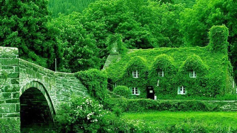 An old stone house and a bridge surrounded by lush forests