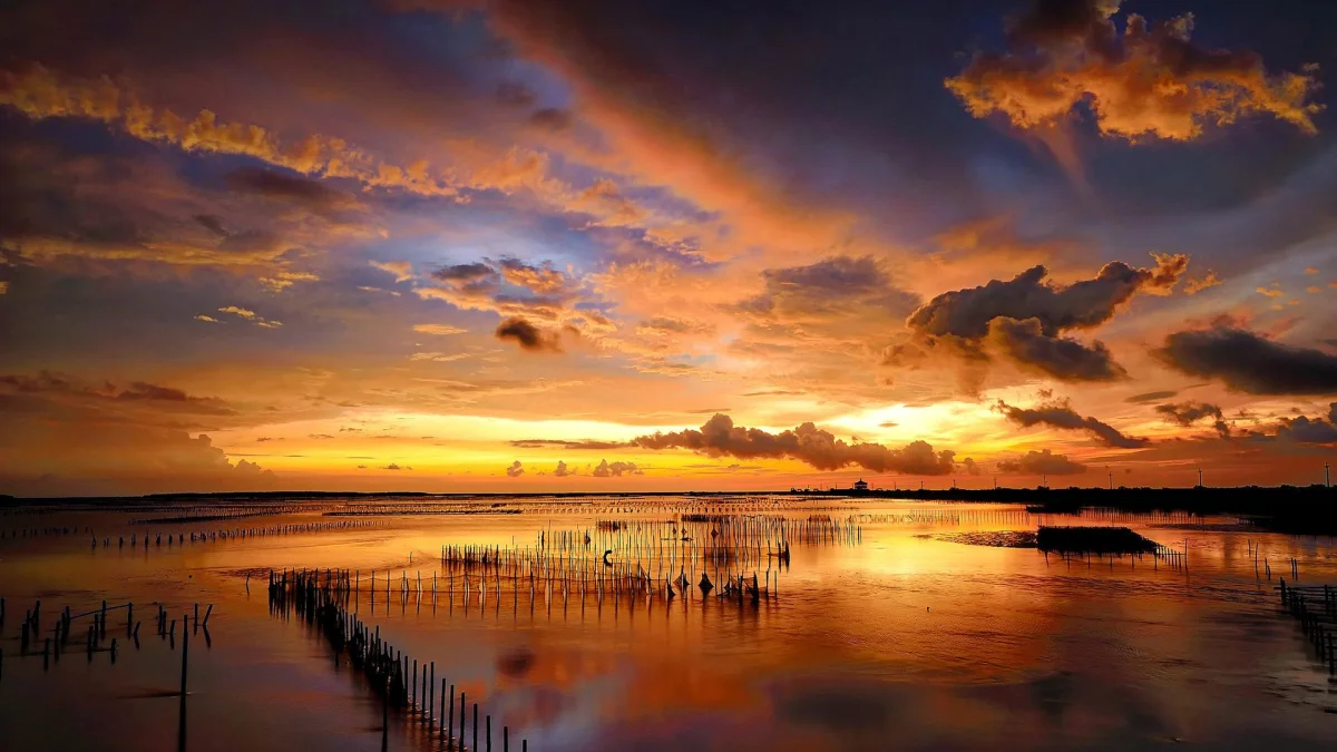 A golden sunset over the calm waters of the estuary