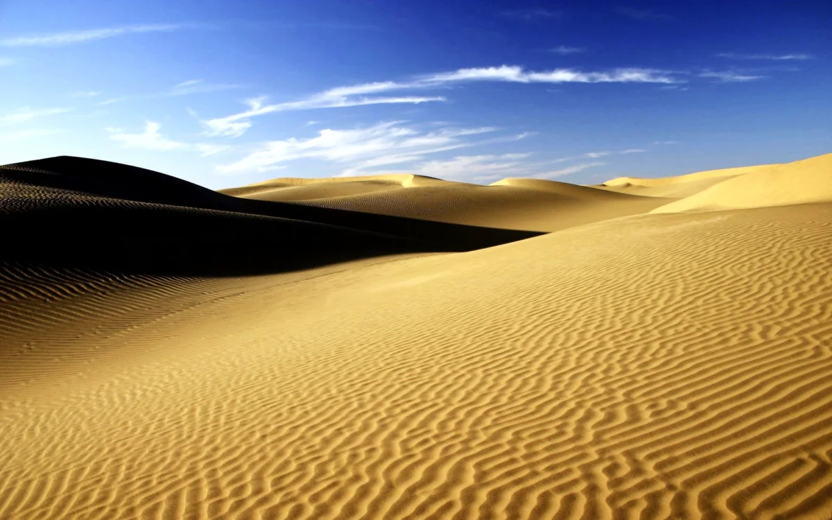 Golden sand dunes under a clear daytime sky
