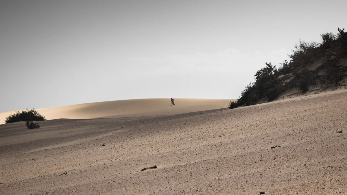 Lone travelers amid the endless sands