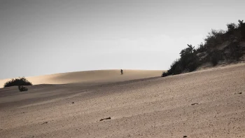 lone travelers amid the endless sands, deserts, dunes, sand dunes, landscapes, people, sand, sands, shrubs, sky, nature, world