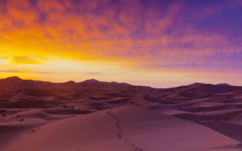 Sunset over the sand dunes in the Sahara