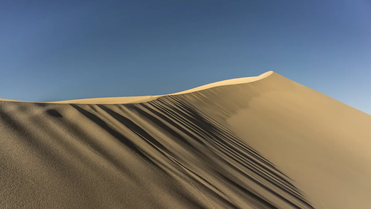 The golden ridges of the barkhan