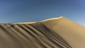 The golden ridges of the barkhan