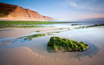 Green cliffs along Portugal's sandy coast