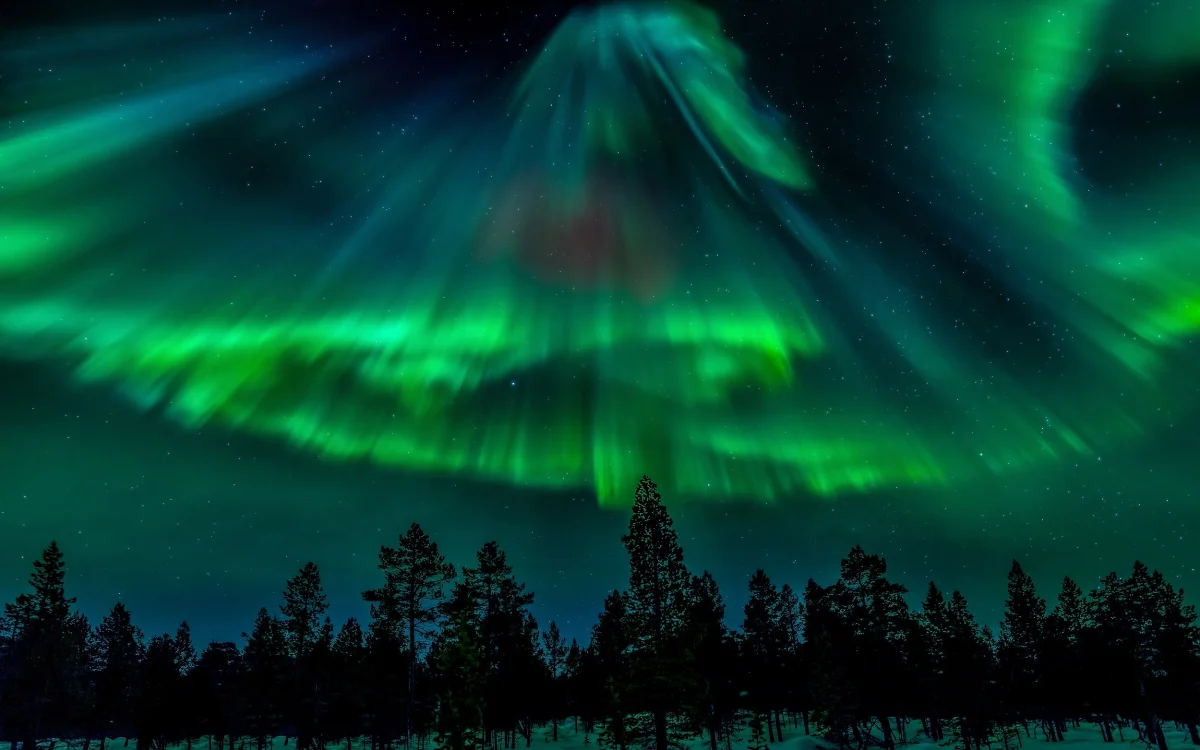 The Northern Lights over a forest in Norway