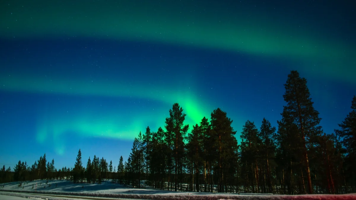 A green glow over the snow-covered forest