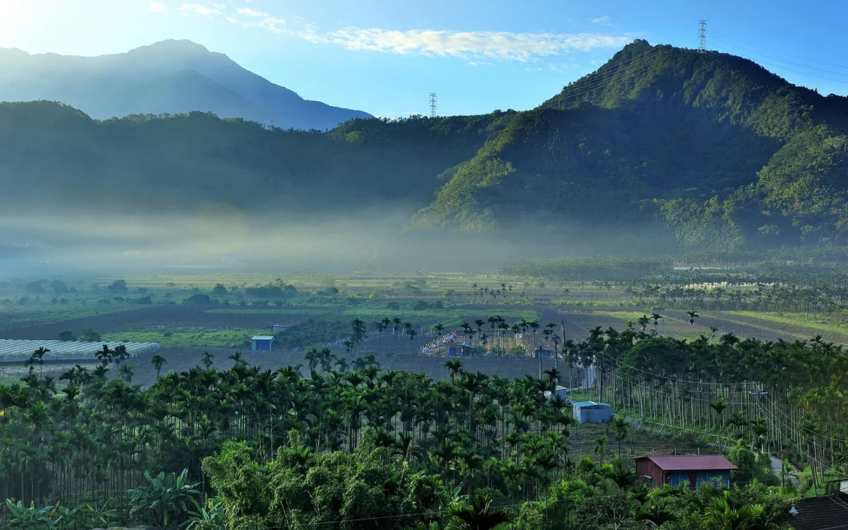morning fog over the green hills, fields, field, fog, landscapes, little houses, huts, cottages, morning, mountains, peaks, hills, palm trees, taiwan, valleys, nature, world