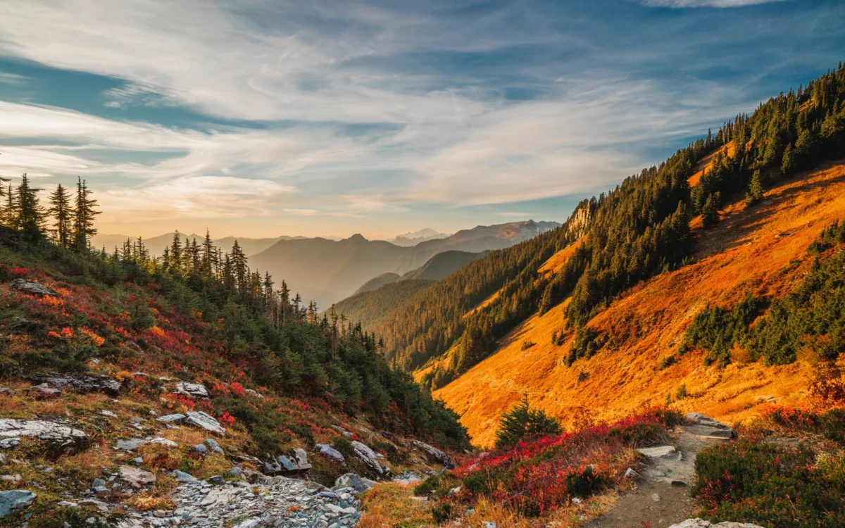 The golden light of autumn in the Cascade Mountains