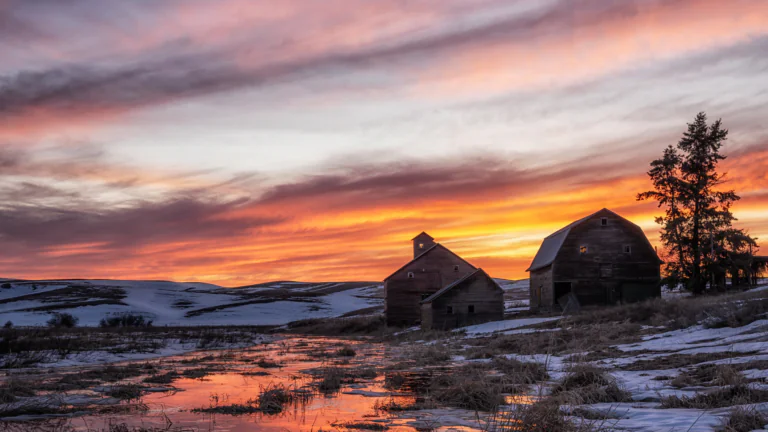 Sunset over snow-covered farm buildings in the U.S.