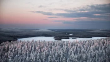 Зимовий світанок над засніженими лісами Фінляндії