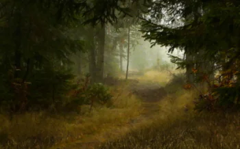 A misty trail deep in the coniferous forest