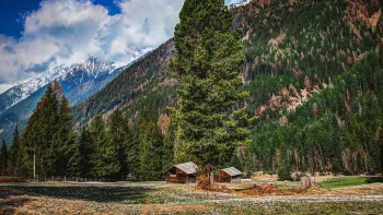 Cabins at the Foot of the Alps