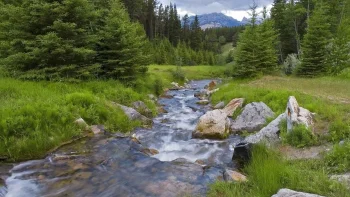 A mountain stream in the Canadian forests