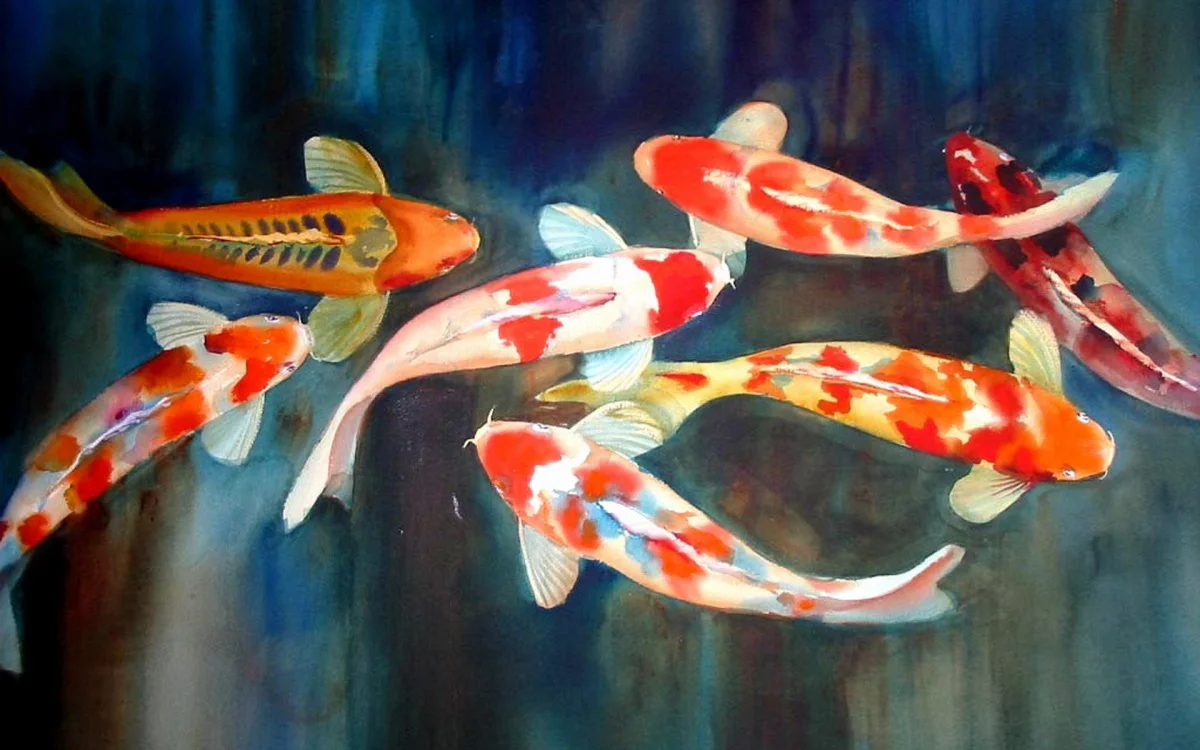 Яскраві коропи коі у темних глибинах води
