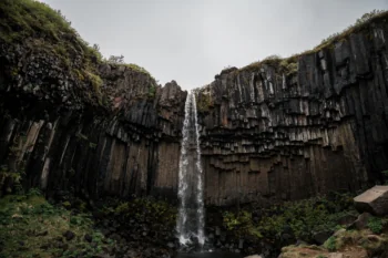 Svartifoss among the basalt columns in Iceland