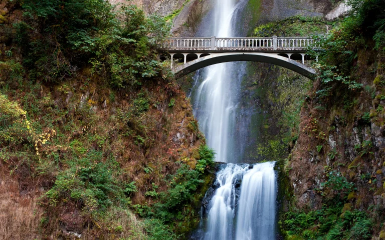 multnomah falls in oregon with a stone bridge, maltnoma and the benson bridge, united states, bridges, cliffs, ferns, landscapes, oregon, shrubs, stones, usa, waterfalls, nature