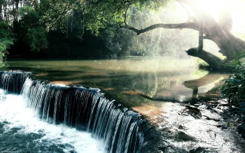 morning rays over a forest waterfall, forest, forests, landscapes, rays, rivers, canals, streams, sun, sun rays, sunlight, trees, waterfalls, nature