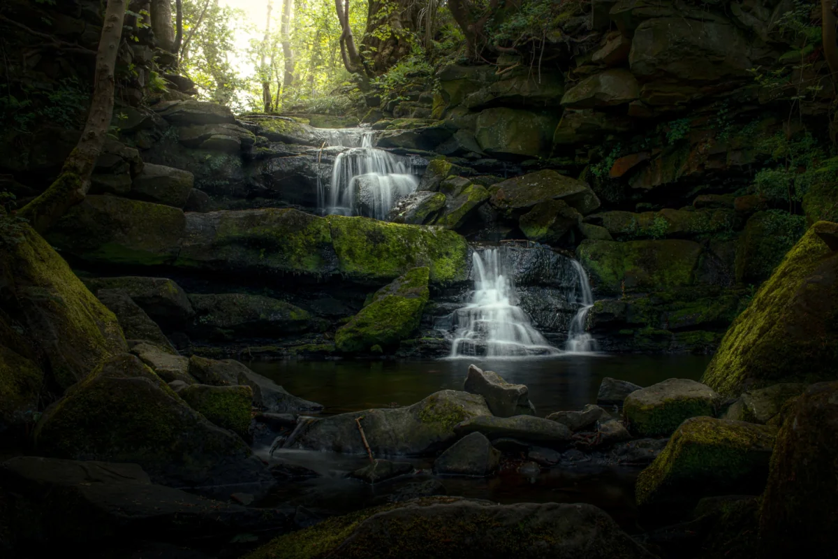 Moss-covered rocks and the cascades of a forest stream