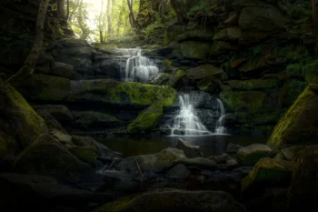 Moss-covered rocks and the cascades of a forest stream