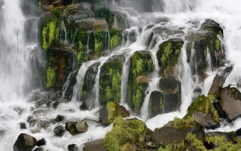 Потоки воды среди покрытых мхом камней