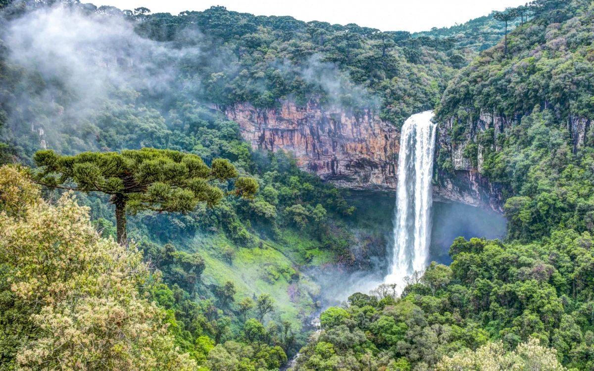 Karakol Falls in the misty forests of Brazil