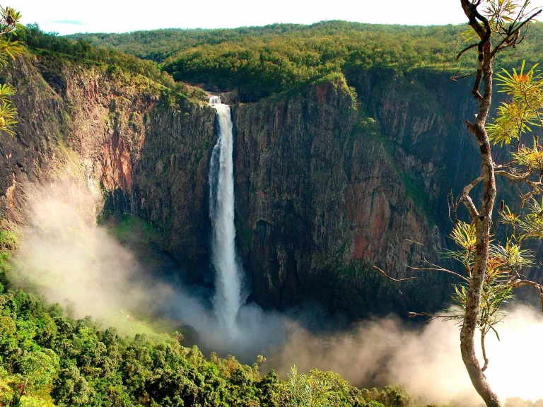 the wallaman falls, surrounded by australia's tropical rainforests, wallamen (queensland, australia), australia, cliffs, fog, forest, forests, gorges, landscapes, mountains, peaks, hills, trees, waterfalls, nature