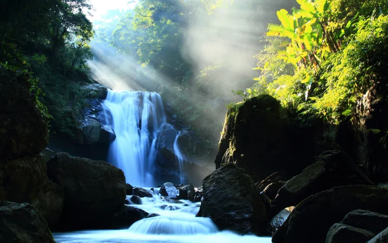 sunbeams filtering through the foliage, shifen, taiwan, cliffs, ferns, fog, forest, forests, landscapes, morning, rays, rivers, canals, streams, stones, waterfalls, nature