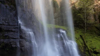 streams of water flowing down moss-covered rocks, silver falls (oregon, u.s.), cliffs, landscapes, morning, moss, oregon, stones, trees, usa, united states, waterfalls, nature