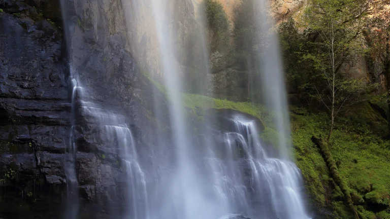 streams of water flowing down moss-covered rocks, silver falls (oregon, u.s.), cliffs, landscapes, morning, moss, oregon, stones, trees, usa, united states, waterfalls, nature