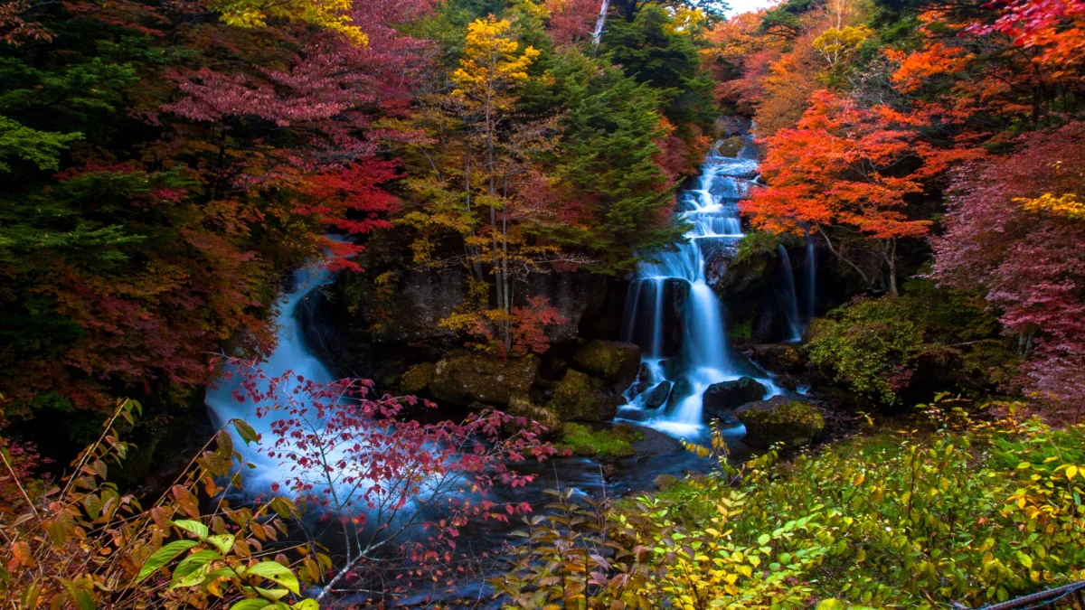 A waterfall flowing through an autumn forest in Japan