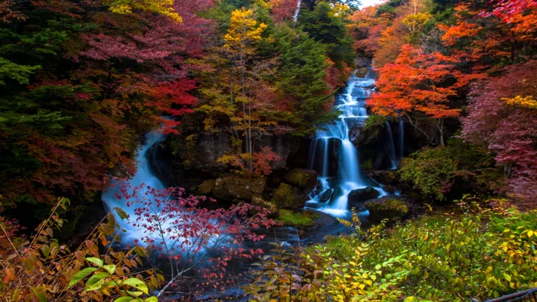 A waterfall flowing through an autumn forest in Japan