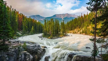 The turbulent waters of the Athabasca Falls