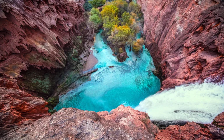 the turquoise waters of hawasu falls, havasu (arizona, u.s.), arizona, canyons, cliffs, gorges, landscapes, mountains, peaks, hills, rivers, canals, streams, stones, trees, usa, united states, waterfalls, nature