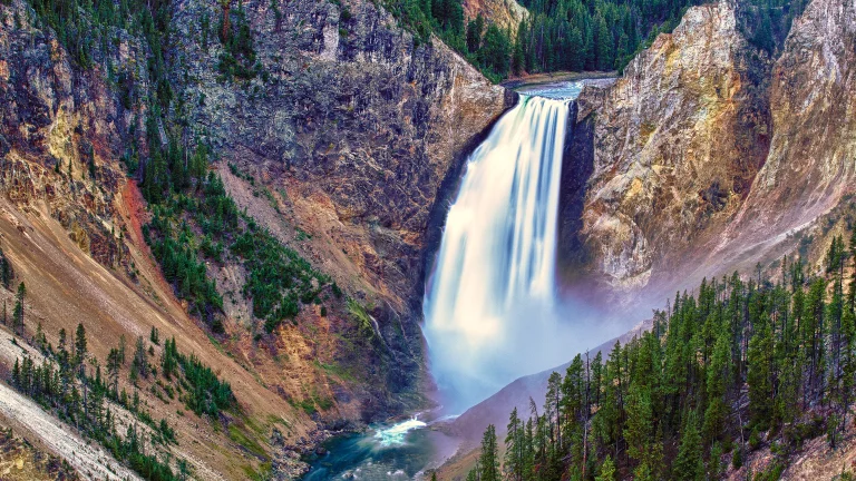 the lower falls in yellowstone national park's canyon, yellowstone (wyoming, u.s.), canyons, cliffs, fir trees, coniferous trees, forest, forests, gorges, landscapes, mountains, peaks, hills, parks, national parks, rivers, canals, streams, usa, united states, waterfalls, wyoming, yellowstone, nature