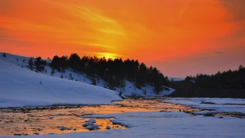 Заснеженные холмы и хвойный лес