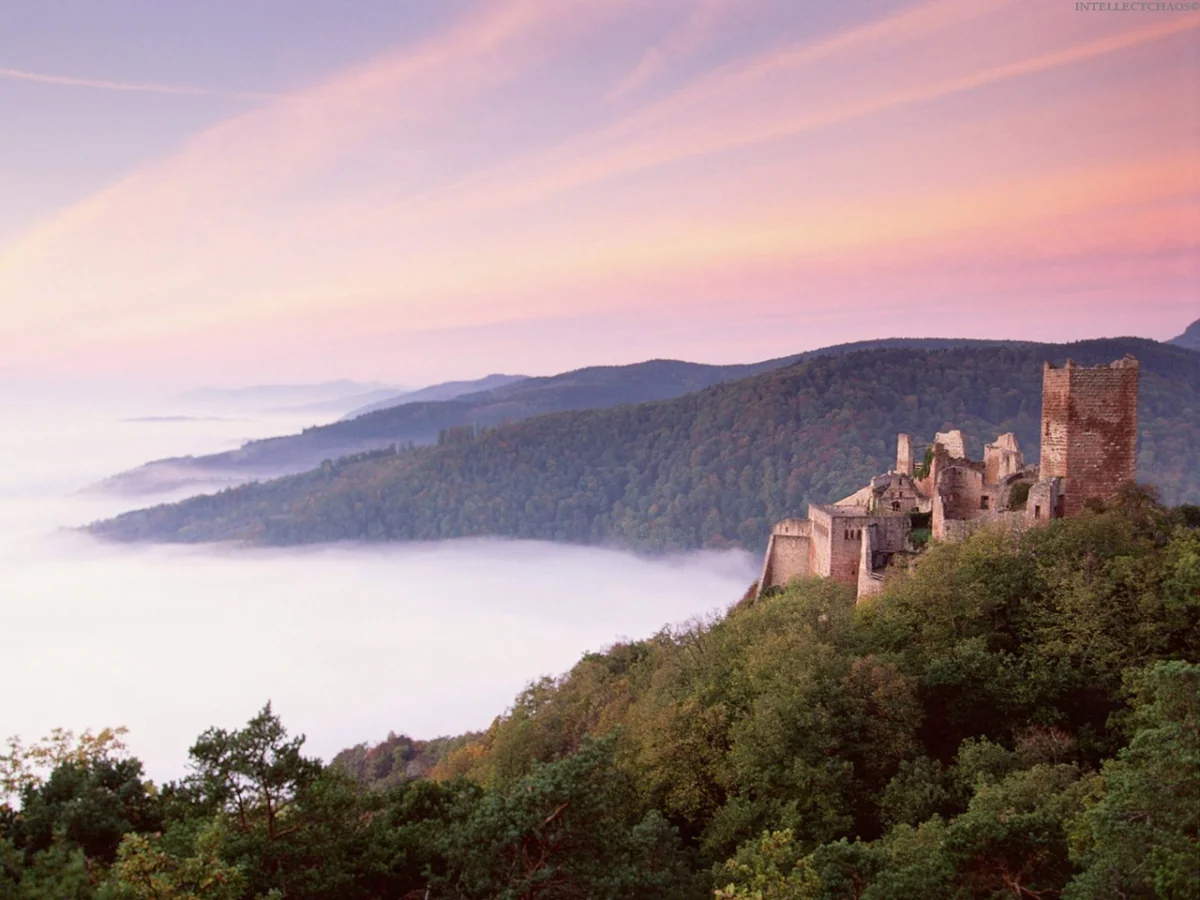 The ruins of Saint-Ulrich Castle against the backdrop of a pink dawn in Alsace