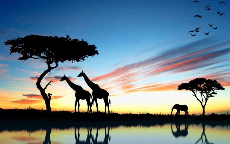 silhouettes of giraffes and an elephant against the backdrop of a sunset by the water, africa, birds, elephants, giraffes, lakes, bodies of water, reflections, sky, sunsets, sunset, trees, animals, fauna